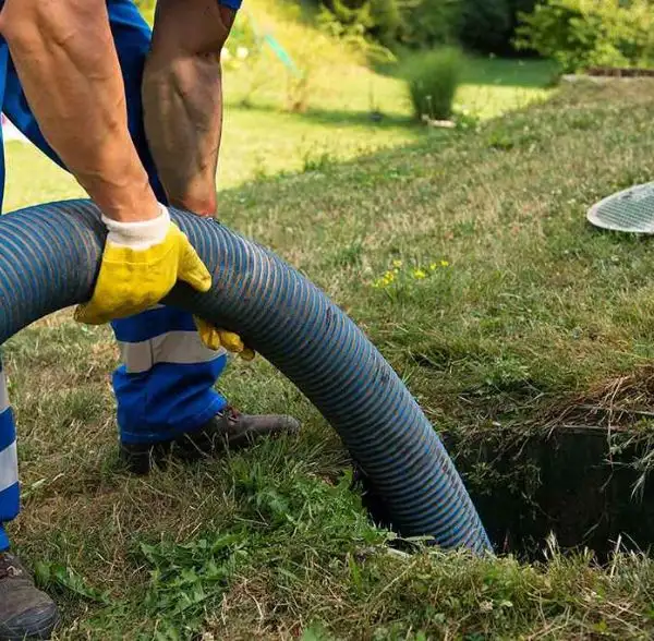 vidange fosse septique belgique